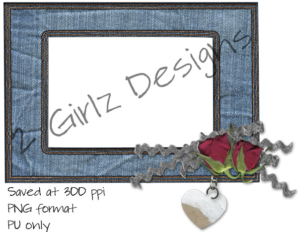 Denim-and-Roses-Frame
