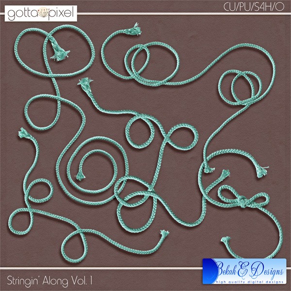 bed_saV1_prv